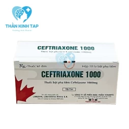 Ceftriaxone 1000 - Thuốc điều trị nhiễm khuẩn